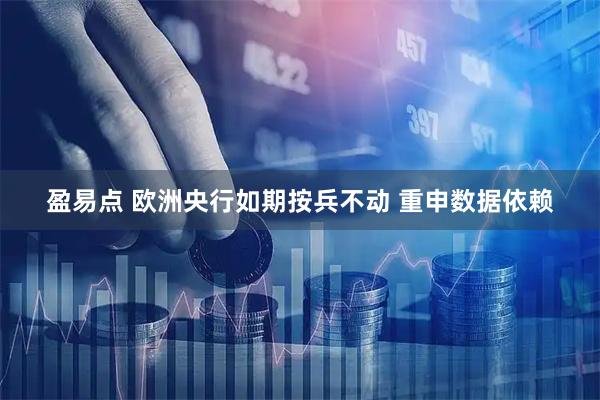 盈易点 欧洲央行如期按兵不动 重申数据依赖