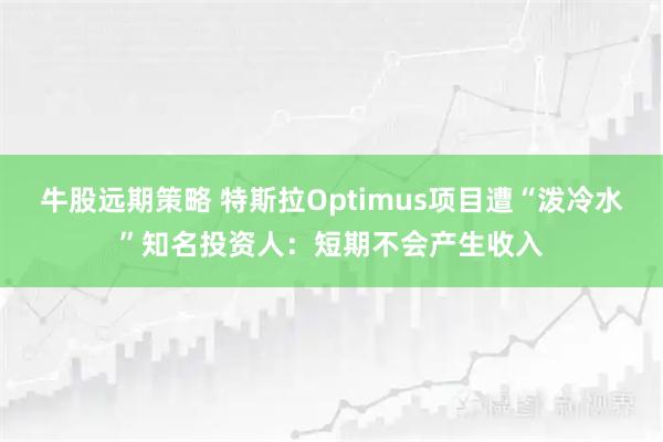 牛股远期策略 特斯拉Optimus项目遭“泼冷水”知名投资人：短期不会产生收入