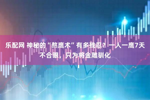 乐配网 神秘的“熬鹰术”有多残忍？一人一鹰7天不合眼，只为将金雕驯化